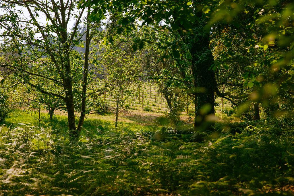Quinta Da Bouca D'Arques Hotel Vila de Punhe Bagian luar foto
